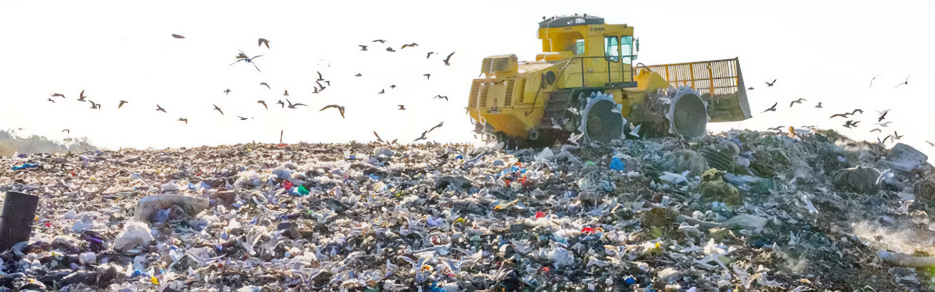 Everything about landfill gas