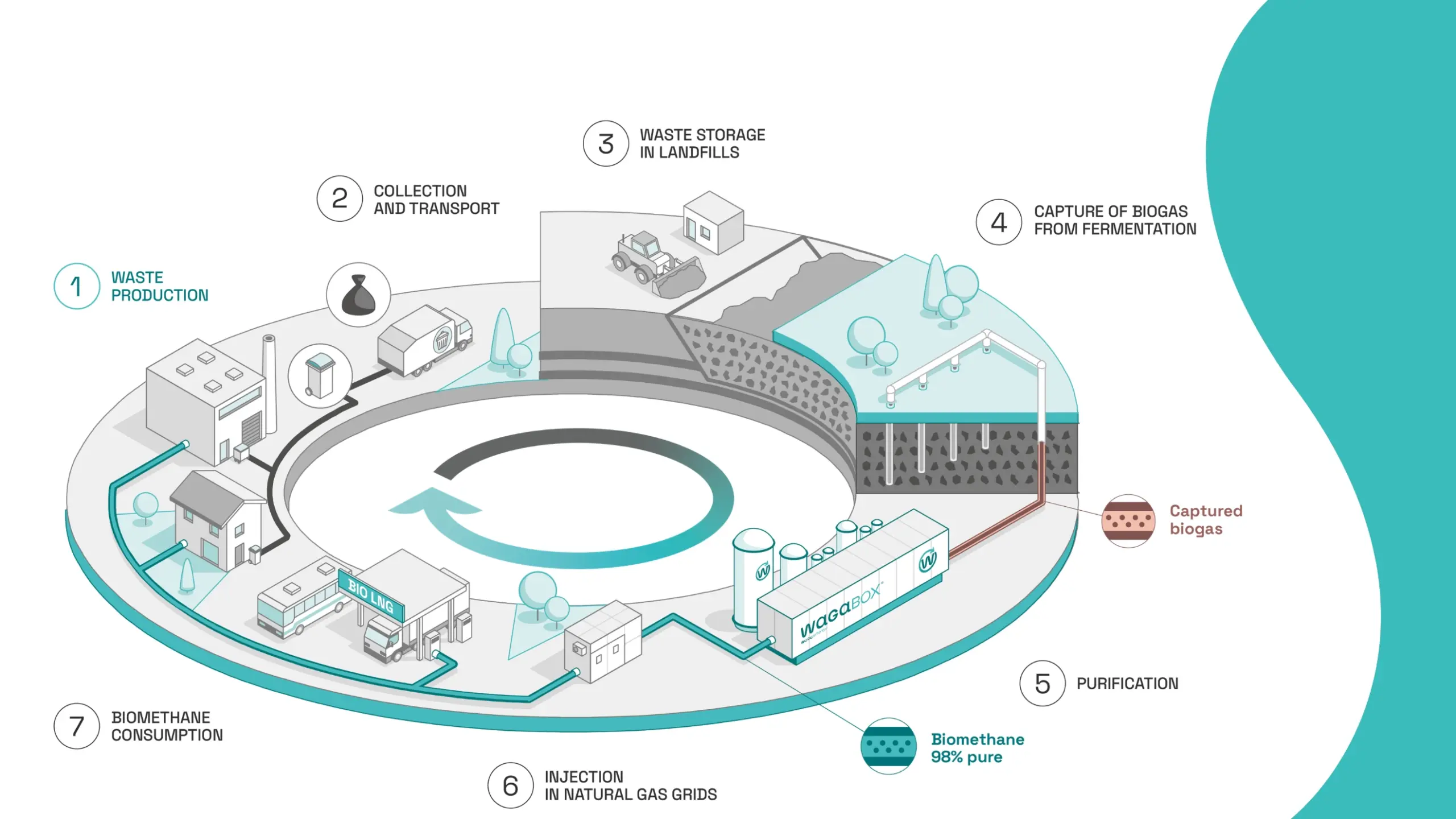 Producing Renewable Natural Gas at landfills, is a sustainable and value-creating virtuous circle Illustrated diagram showing the step‑by‑step production of renewable natural gas at a landfill. The process includes waste production, collection and transport, waste storage in landfills, capture of biogas from fermentation, purification of biogas using a WAGABOX® unit to produce biomethane with 98 percent purity, injection of biomethane into natural gas grids, and final biomethane consumption. Arrows illustrate a circular system that captures landfill gas and converts it into usable renewable energy.